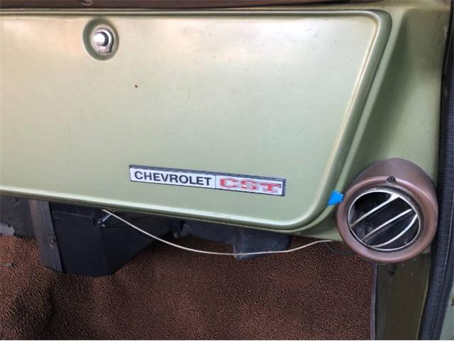 1969 Chevrolet C20 (CC-1265790) for sale in Cadillac, Michigan