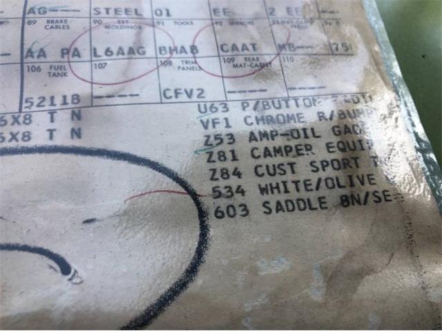1969 Chevrolet C20 (CC-1265790) for sale in Cadillac, Michigan