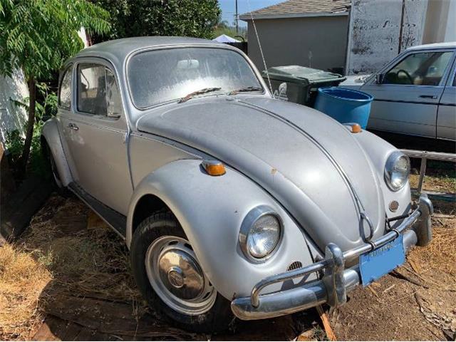 1967 Volkswagen Beetle (CC-1265796) for sale in Cadillac, Michigan