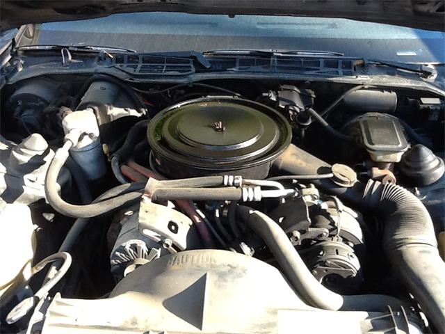 1982 Pontiac Firebird Trans Am (CC-1266154) for sale in Waco, Texas