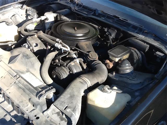 1982 Pontiac Firebird Trans Am (CC-1266154) for sale in Waco, Texas