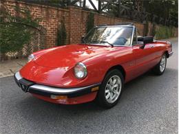 1986 Alfa Romeo Graduate (CC-1266292) for sale in Greensboro, North Carolina