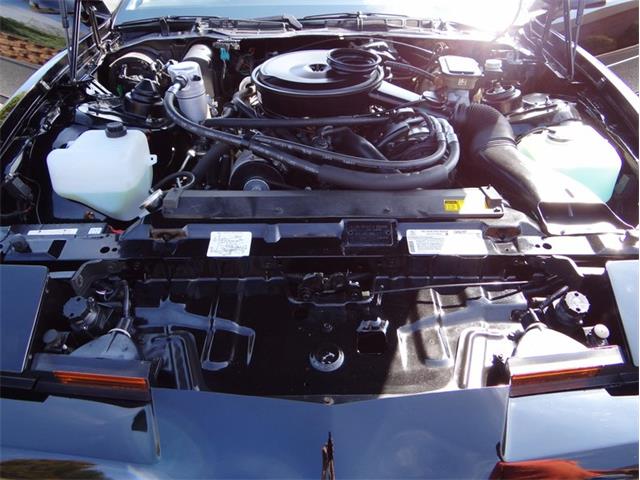 1984 Pontiac Firebird Trans Am (CC-1266741) for sale in Greensboro, North Carolina