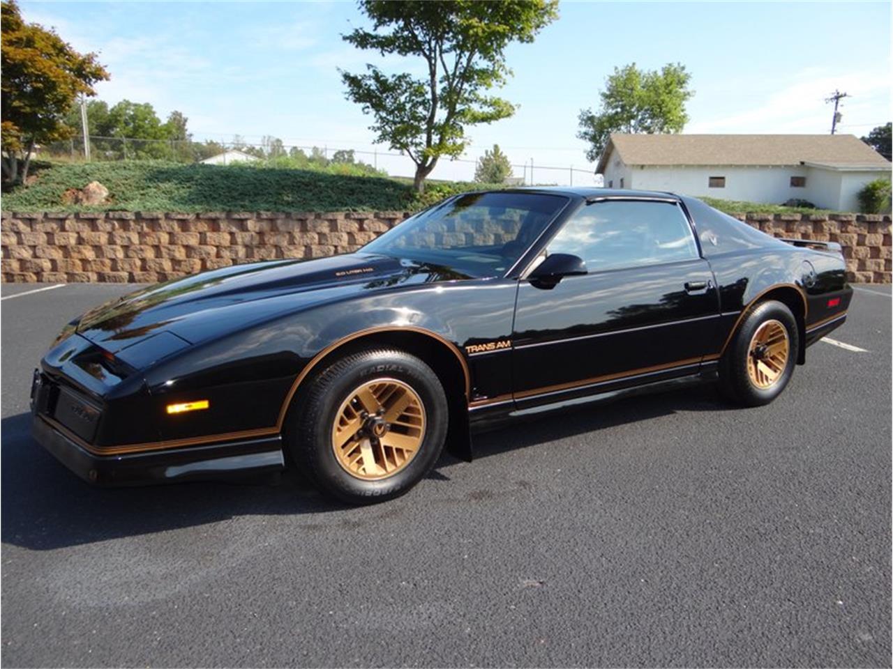 1984 Pontiac Firebird Trans Am for Sale CC1266741