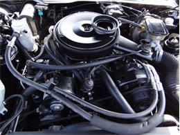 1984 Pontiac Firebird Trans Am (CC-1266741) for sale in Greensboro, North Carolina
