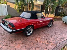 1989 Alfa Romeo Spider (CC-1267058) for sale in Long Island, New York