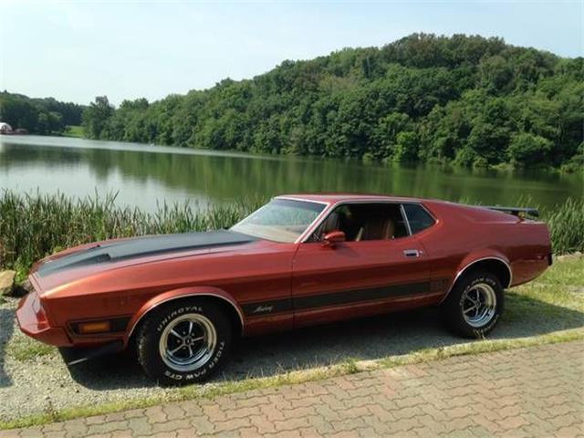 1973 Ford Mustang (CC-1260706) for sale in Cadillac, Michigan