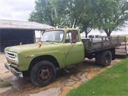 1969 International D15 (CC-1267462) for sale in Cadillac, Michigan