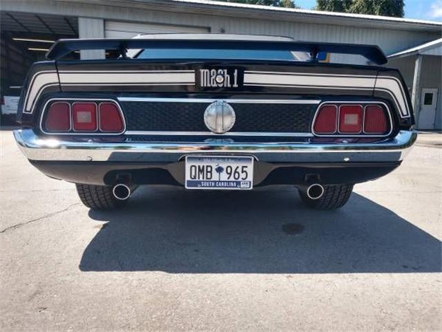 1971 Ford Mustang (CC-1260783) for sale in Cadillac, Michigan