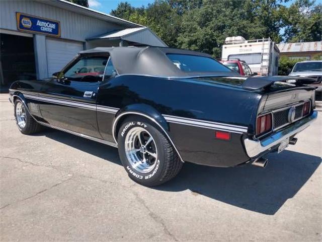 1971 Ford Mustang (CC-1260783) for sale in Cadillac, Michigan
