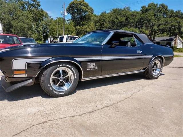 1971 Ford Mustang (CC-1260783) for sale in Cadillac, Michigan