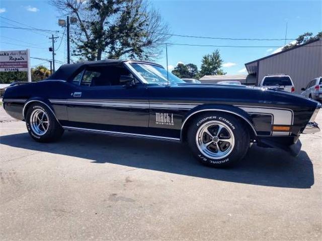 1971 Ford Mustang (CC-1260783) for sale in Cadillac, Michigan