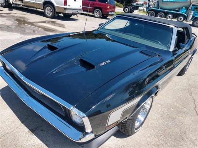 1971 Ford Mustang (CC-1260783) for sale in Cadillac, Michigan