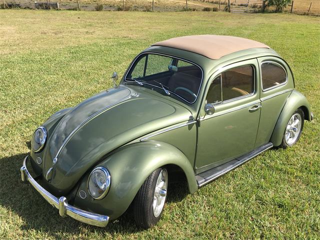 1963 Volkswagen Beetle (CC-1267941) for sale in Fort Pierce, Florida