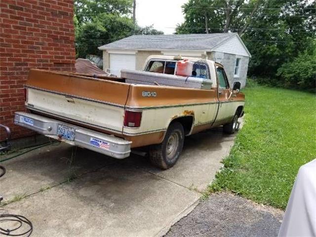 1979 Chevrolet Pickup (CC-1268528) for sale in Cadillac, Michigan