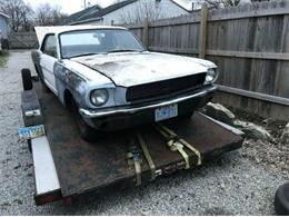 1966 Ford Mustang (CC-1260862) for sale in Cadillac, Michigan