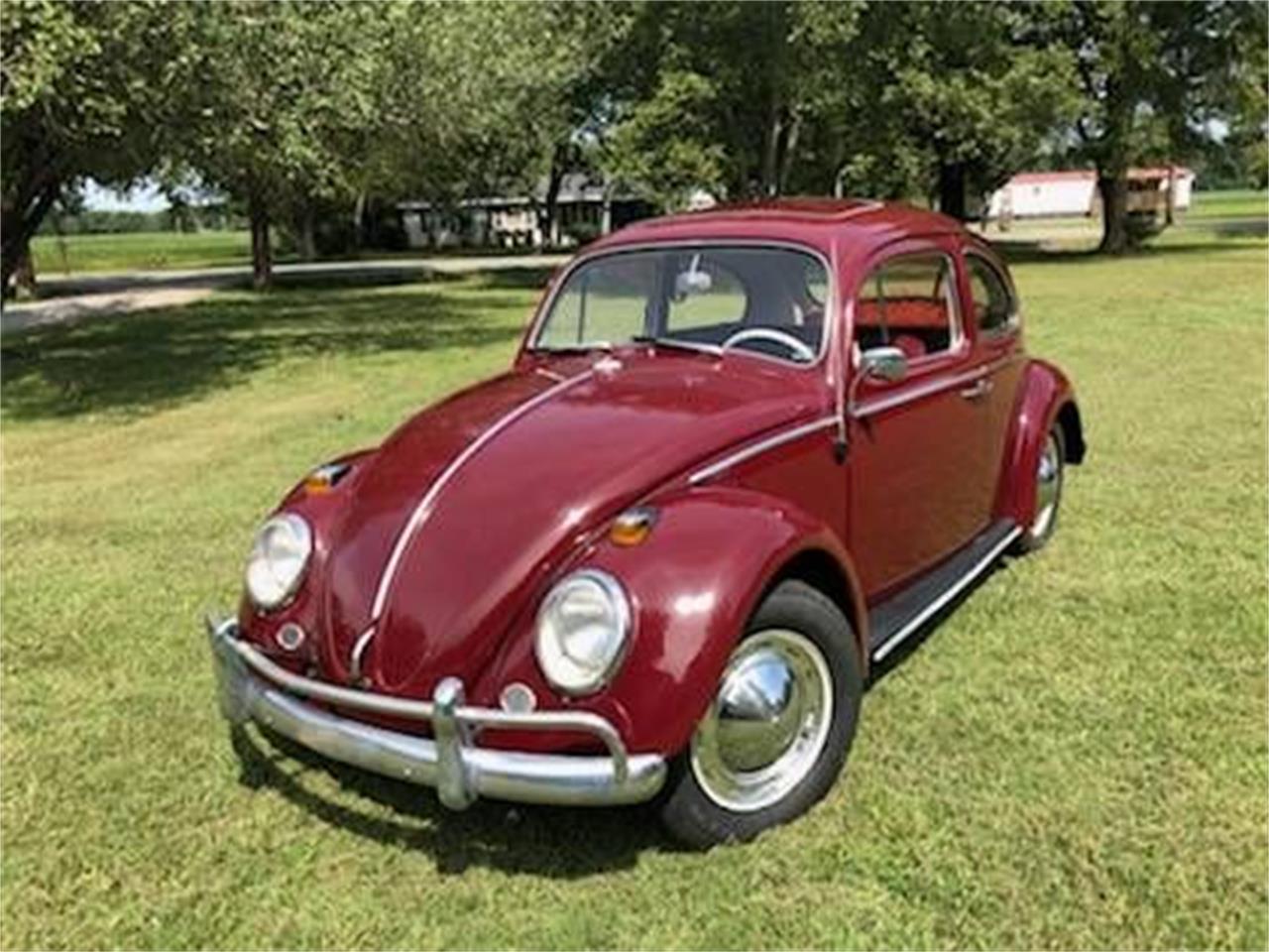 1964 Volkswagen Beetle For Sale Cc 1268814 8527