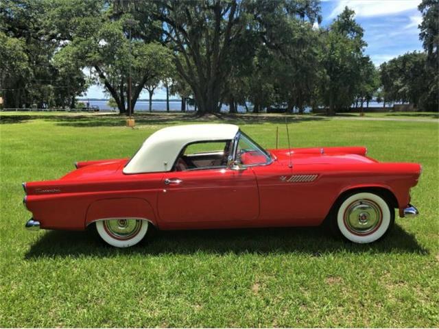 1955 Ford Thunderbird (CC-1260885) for sale in Cadillac, Michigan
