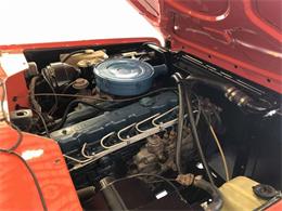 1980 International Harvester Scout (CC-1269087) for sale in Pittsburgh, Pennsylvania