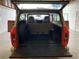 1980 International Harvester Scout (CC-1269087) for sale in Pittsburgh, Pennsylvania
