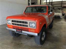 1980 International Harvester Scout (CC-1269087) for sale in Pittsburgh, Pennsylvania