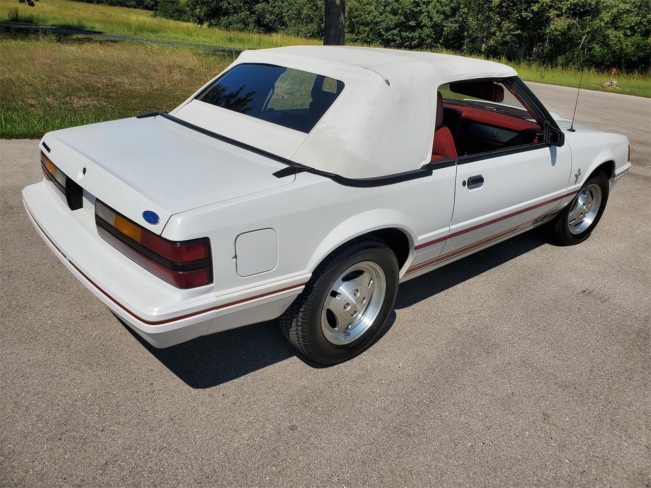 1984 Ford Mustang GT350 for Sale | ClassicCars.com | CC-1269529