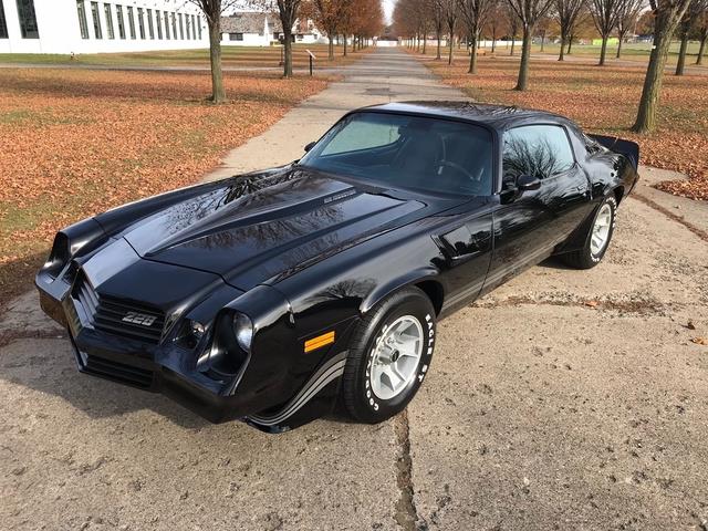 1981 Chevrolet Camaro (CC-1271604) for sale in Shelby Township, Michigan