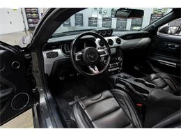 2016 Ford Mustang Shelby Super Snake (CC-1271849) for sale in Seekonk, Massachusetts