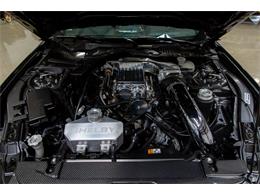 2016 Ford Mustang Shelby Super Snake (CC-1271849) for sale in Seekonk, Massachusetts