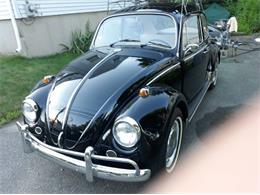1967 Volkswagen Beetle (CC-1272335) for sale in Cadillac, Michigan