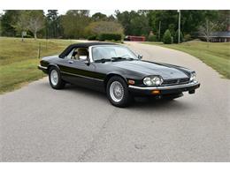 1991 Jaguar XJS (CC-1272545) for sale in Raleigh, North Carolina
