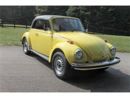 1979 Volkswagen Beetle (CC-1273300) for sale in Raleigh, North Carolina