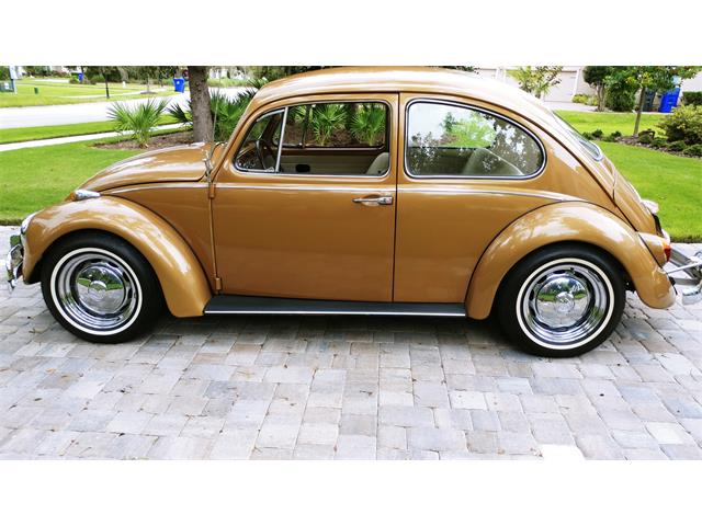 1967 Volkswagen Beetle (CC-1274993) for sale in St. Augustine, Florida
