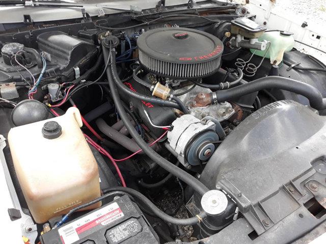 1984 Chevrolet El Camino SS (CC-1270520) for sale in Long Island, New York