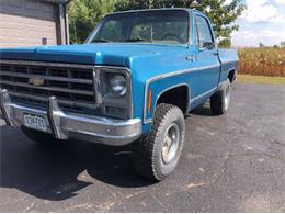 1979 Chevrolet Pickup (CC-1275661) for sale in Cadillac, Michigan