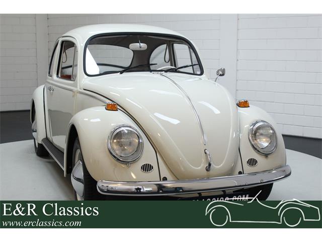 1965 Volkswagen Beetle (CC-1276151) for sale in Waalwijk, Noord-Brabant