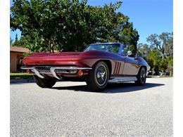 1966 Chevrolet Corvette (CC-1276433) for sale in Clearwater, Florida