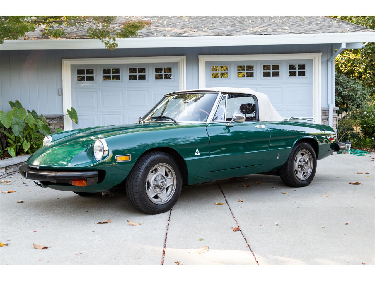 1977 Alfa Romeo Spider For Sale Cc 1293383 6138