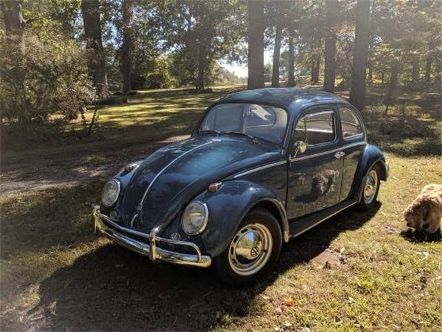 1960 baja bug