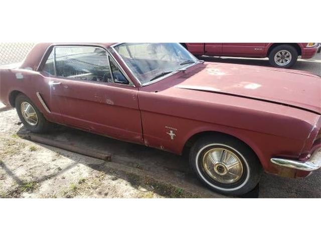 1965 Ford Mustang (CC-1293760) for sale in Cadillac, Michigan