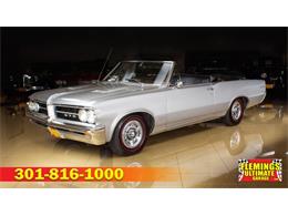 1964 Pontiac GTO (CC-1294112) for sale in Rockville, Maryland