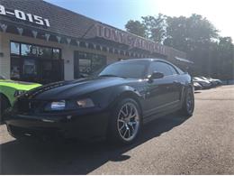 2003 Ford Mustang (CC-1294493) for sale in Waterbury, Connecticut