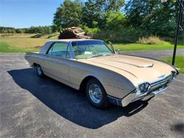 1961 Ford Thunderbird (CC-1295416) for sale in Cadillac, Michigan