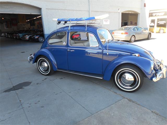 1967 Volkswagen Beetle (CC-1295936) for sale in Gilroy, California