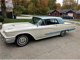 1959 Ford Thunderbird (CC-1296158) for sale in Cadillac, Michigan