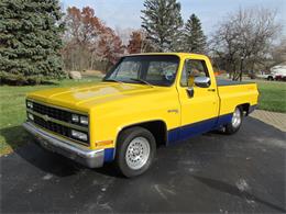 1982 Chevrolet C10 (CC-1296404) for sale in Goodrich, Michigan