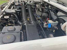 1995 Ford F150 (CC-1297490) for sale in Dallas, Texas