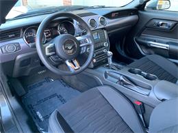 2017 Ford Mustang (Roush) (CC-1297667) for sale in Edgewater Park, New Jersey