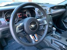 2017 Ford Mustang (Roush) (CC-1297667) for sale in Edgewater Park, New Jersey