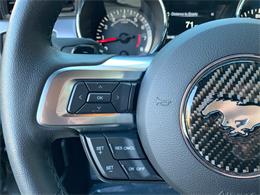 2017 Ford Mustang (Roush) (CC-1297667) for sale in Edgewater Park, New Jersey